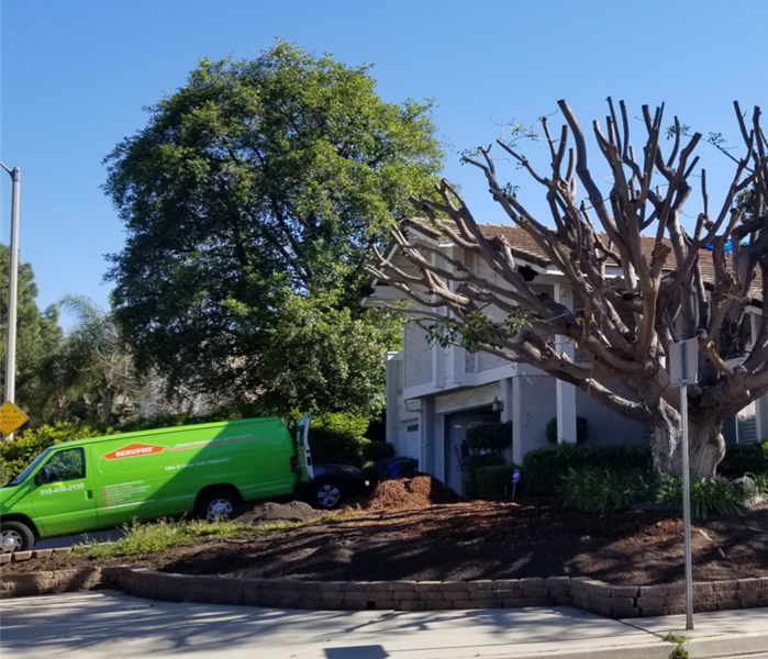 parked in front of the house 