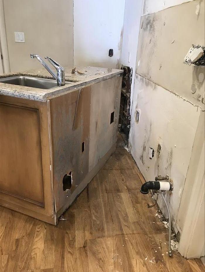 Mold Growth on wall and lower cabinet