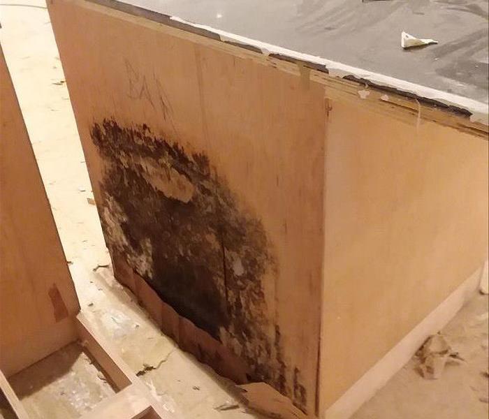 Mold Growth on a Kitchen Cabinets