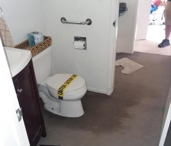 Toilet Overflow